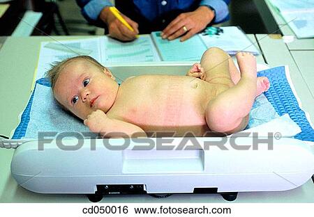 baby, Baby scale, child, doctor, examination View Large Photo Image Stock Photograph - baby, Baby scale, child, doctor, examination. Fotosearch