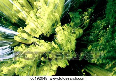 background, day, concept, blurred, abstract View Large Photo Image Stock Photo - background, day, concept, blurred, abstract. Fotosearch