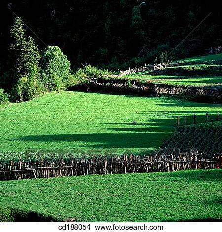 Picture - Barkam. Sichuan. China. Fotosearch