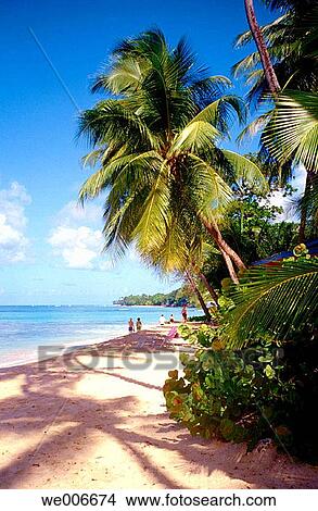 Beach View Large Photo Image Picture - Beach. Fotosearch
