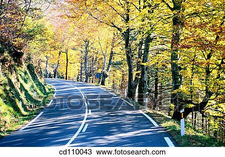 bend, country, Country road, curve, day View Large Photo Image Stock Image - bend, country, Country road, curve, day. Fotosearch