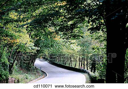 bend, country, Country road, curve, day View Large Photo Image Stock Image - bend, country, Country road, curve, day. Fotosearch