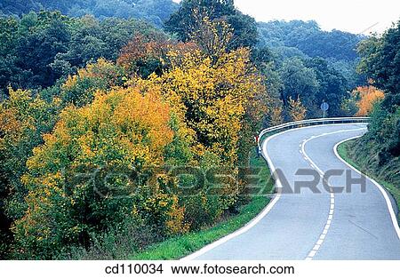 bend, country, curve, day, Empty road View Large Photo Image Picture - bend, country, curve, day, Empty road. Fotosearch