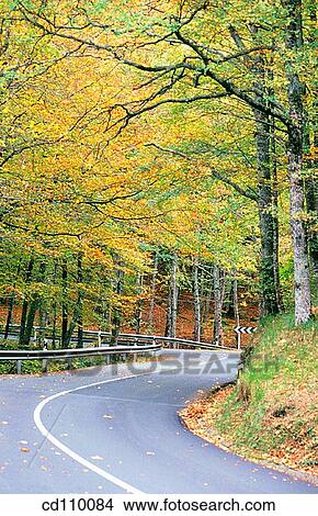 bend, country, curve, day, Empty road View Large Photo Image Picture - bend, country, curve, day, Empty road. Fotosearch