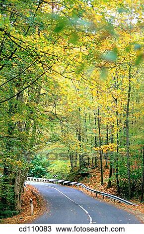 bend, country, curve, day, Empty road View Large Photo Image Stock Image - bend, country, curve, day, Empty road. Fotosearch