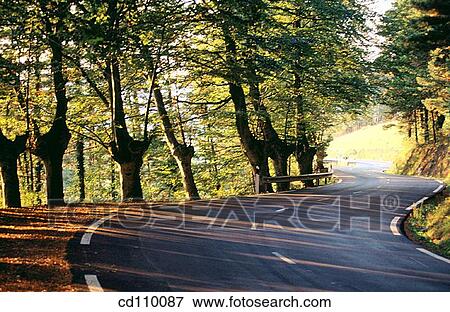 bend, country, curve, day, Empty road View Large Photo Image Stock Photo - bend, country, curve, day, Empty road. Fotosearch