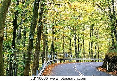 Stock Photography - bend, country, curve, day, Empty road. Fotosearch