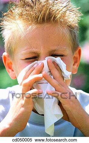 Blow nose, Blowing nose, boy, child, childhood, Close-up View Large Photo Image Stock Photography - Blow nose, Blowing nose, boy, child, childhood, Close-up. Fotosearch