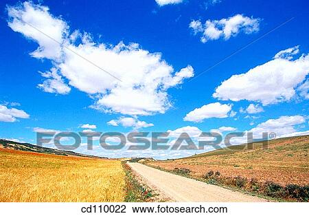 blue, cloud, cereals, blue sky, agriculture View Large Photo Image Stock Image - blue, cloud, cereals, blue sky, agriculture. Fotosearch