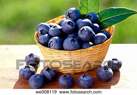 Blueberries (Vaccinium myrtillus) View Large Photo Image Stock Photo - Blueberries (Vaccinium myrtillus). Fotosearch