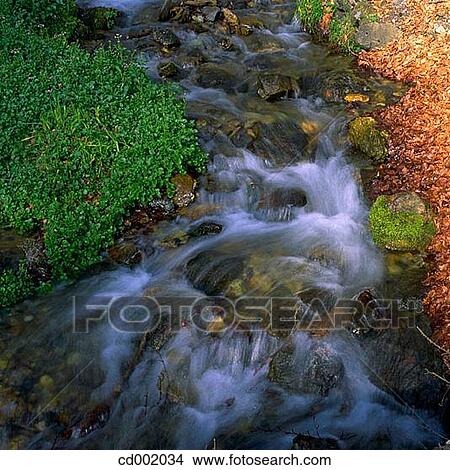Picture - brook, creek, day, flow, flowing. Fotosearch
