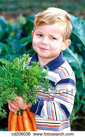 Carrots View Large Photo Image Stock Photograph - Carrots. Fotosearch