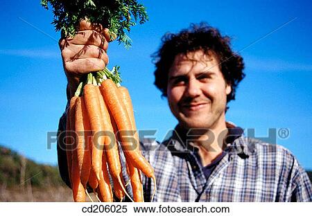 Carrots View Large Photo Image Stock Photography - Carrots. Fotosearch