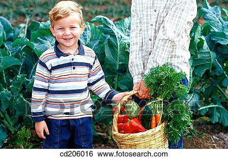 child, basket, brother, boy, Biological farming, agriculture View Large Photo Image Stock Photograph - child, basket, brother, boy, Biological farming, agriculture. Fotosearch