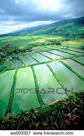 Cirque de Mafate. La Reunion View Large Photo Image Stock Photo - Cirque de Mafate. La Reunion. Fotosearch