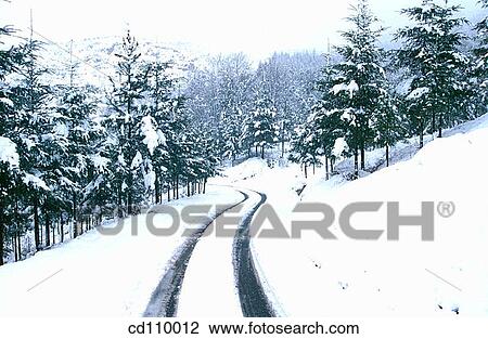 cold, coldness, country, Country road, danger View Large Photo Image Stock Image - cold, coldness, country, Country road, danger. Fotosearch