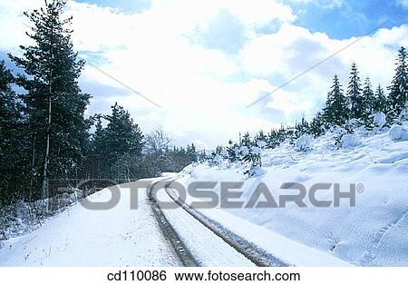 cold, coldness, country, Country road, danger View Large Photo Image Stock Photograph - cold, coldness, country, Country road, danger. Fotosearch