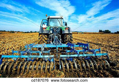 Corn fields View Large Photo Image Stock Photograph - Corn fields. Fotosearch