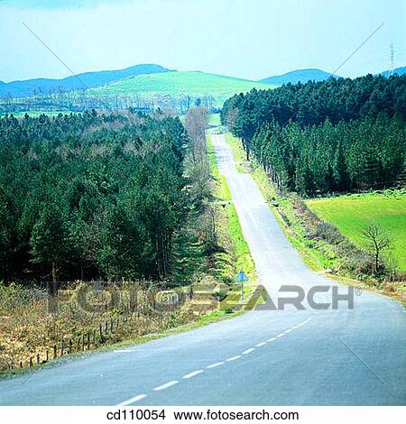 Picture - country, Country road, day, Empty road, forest. Fotosearch