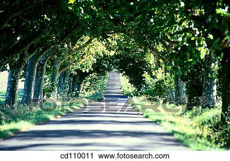 country, Country road, day, Empty road View Large Photo Image Stock Image - country, Country road, day, Empty road. Fotosearch