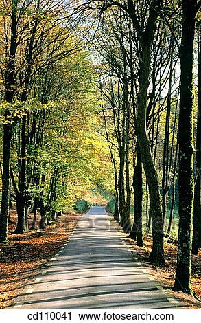 country, Country road, day, Empty road, nature View Large Photo Image Stock Image - country, Country road, day, Empty road, nature. Fotosearch