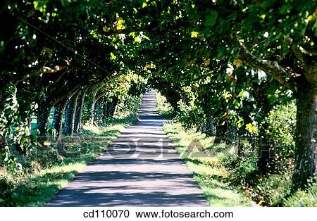 country, Country road, day, Empty road View Large Photo Image Stock Image - country, Country road, day, Empty road. Fotosearch