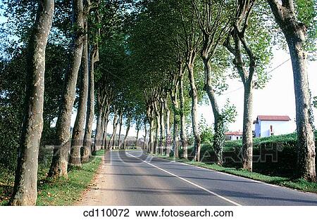 country, Country road, day, Empty road View Large Photo Image Stock Image - country, Country road, day, Empty road. Fotosearch