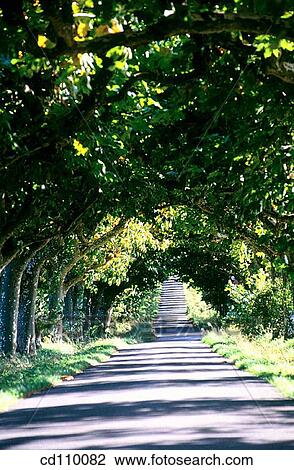 country, Country road, day, Empty road, nature View Large Photo Image Stock Image - country, Country road, day, Empty road, nature. Fotosearch