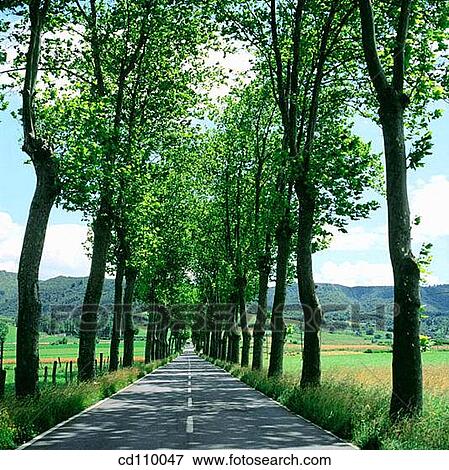 country, Country road, day, Empty road, nature View Large Photo Image Stock Photo - country, Country road, day, Empty road, nature. Fotosearch