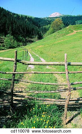 country, day, fence, field, gate View Large Photo Image Stock Photo - country, day, fence, field, gate. Fotosearch