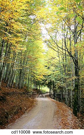 country, day, forest, nature, no people View Large Photo Image Stock Photo - country, day, forest, nature, no people. Fotosearch
