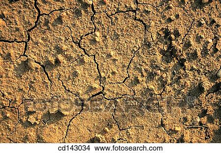 Cracked soil View Large Photo Image Picture - Cracked soil. Fotosearch