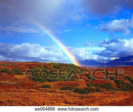 Denali National Park. Alaska. USA View Large Photo Image Stock Photograph - Denali National Park. Alaska. USA. Fotosearch