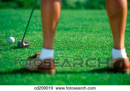 Detail of a female golfer about to hit a drive View Large Photo Image Stock Photo - Detail of a female golfer about to hit a drive. Fotosearch