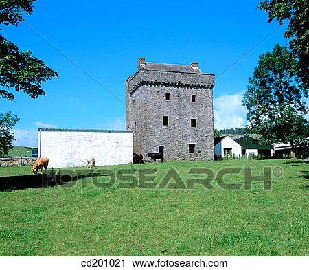 Drumcoltran Tower. Dunfries and Galloway. Scotland View Large Photo Image Stock Image - Drumcoltran Tower. Dunfries and Galloway. Scotland. Fotosearch