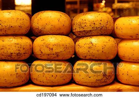Dutch cheese. Holland View Large Photo Image Picture - Dutch cheese. Holland. Fotosearch