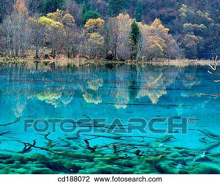 Five Color Pool. Jiuzhaigou. Sichuan. China View Large Photo Image Stock Image - Five Color Pool. Jiuzhaigou. Sichuan. China. Fotosearch