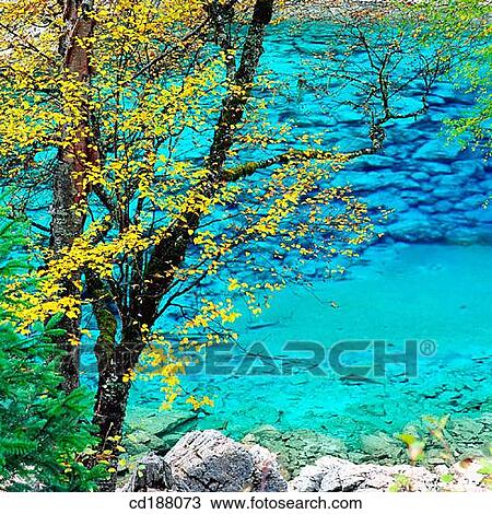 Five Color Pool. Jiuzhaigou. Sichuan. China View Large Photo Image Stock Image - Five Color Pool. Jiuzhaigou. Sichuan. China. Fotosearch