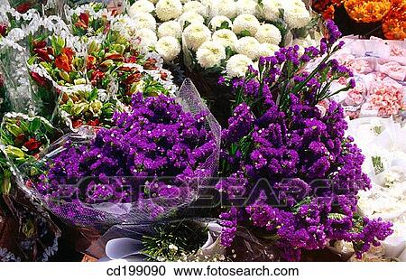 Flowers for sale View Large Photo Image Stock Image - Flowers for sale. Fotosearch
