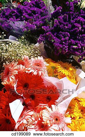 Flowers for sale View Large Photo Image Stock Photo - Flowers for sale. Fotosearch