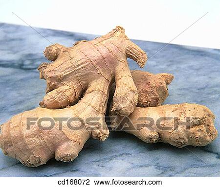 Ginger View Large Photo Image Stock Image - Ginger. Fotosearch