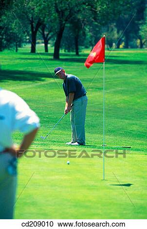 Stock Image - Golfer watches his putt. Fotosearch