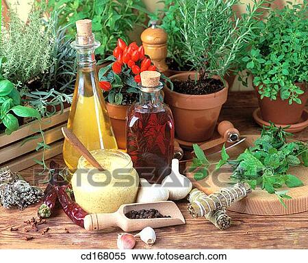 Stock Photography - Herbs and spices. Fotosearch