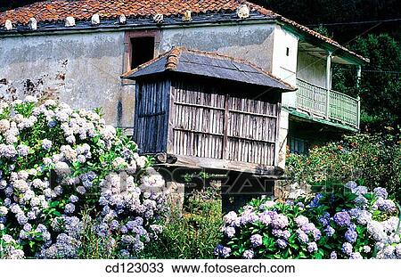 Horreo (typical barn). Cedeira. La Coru±a province. Galicia. Spain View Large Photo Image Stock Image - Horreo (typical barn). Cedeira. La Coru±a province. Galicia. Spain. Fotosearch