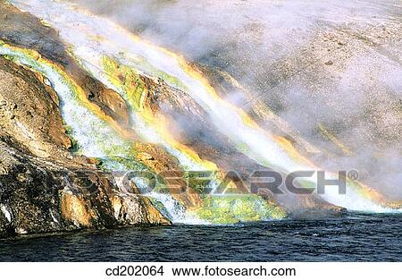 Hot springs. Yellowstone National Park. Wyoming. USA View Large Photo Image Picture - Hot springs. Yellowstone National Park. Wyoming. USA. Fotosearch