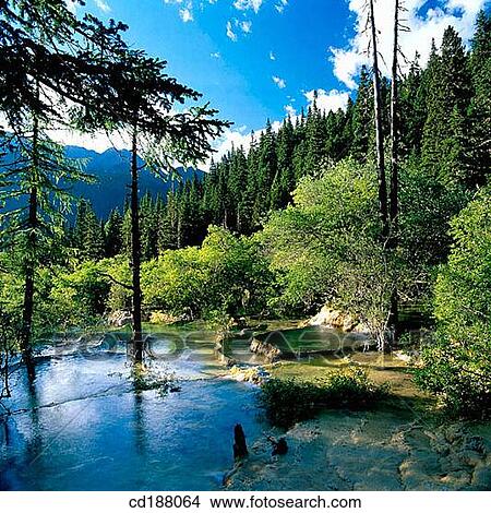Huanglong. Sichuan. China View Large Photo Image Picture - Huanglong. Sichuan. China. Fotosearch