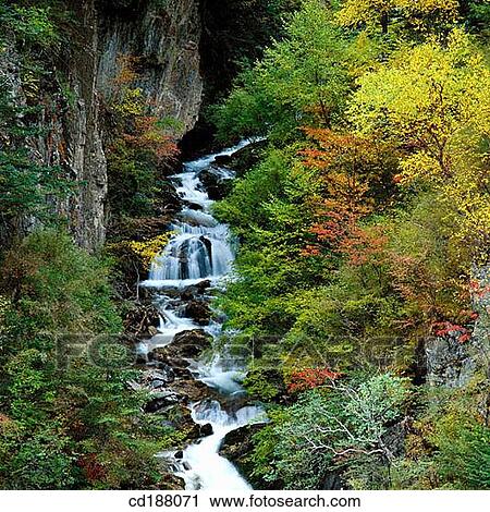 Jiuzhaigou. Sichuan. China View Large Photo Image Stock Image - Jiuzhaigou. Sichuan. China. Fotosearch