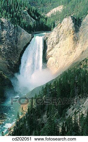 Lower Falls. Yellowstone National Park. Wyoming. USA View Large Photo Image Stock Image - Lower Falls. Yellowstone National Park. Wyoming. USA. Fotosearch