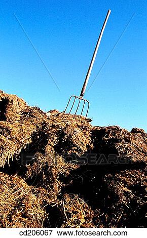 Manure View Large Photo Image Stock Photo - Manure. Fotosearch