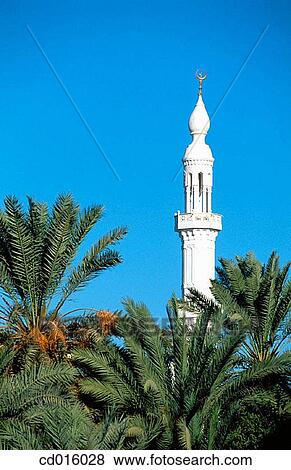 Minaret of Ibis temple at Kharga Oasis. Egypt View Large Photo Image Stock Photo - Minaret of Ibis temple at Kharga Oasis. Egypt. Fotosearch